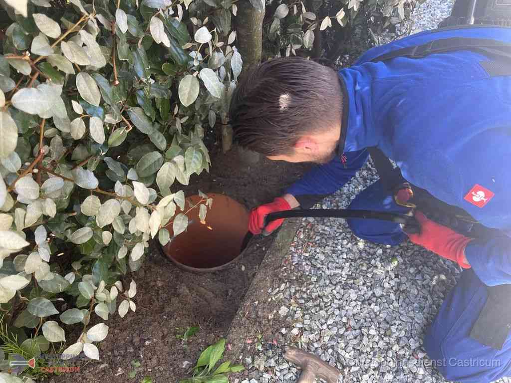 Rioolvliegjes Castricum
